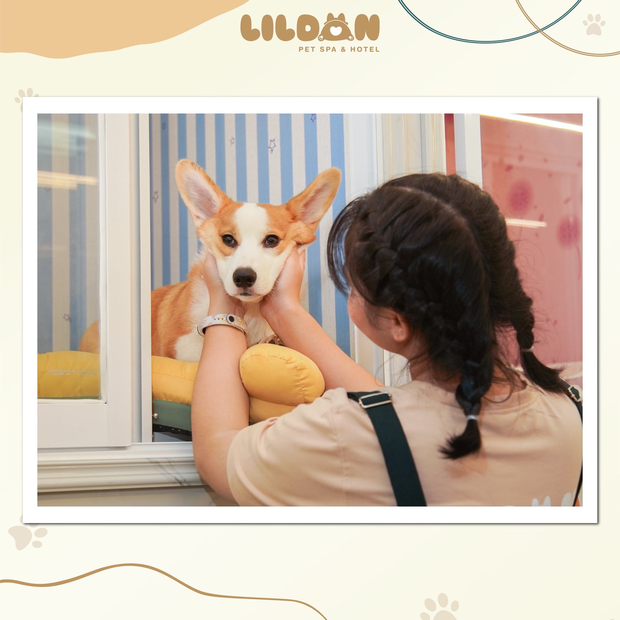 Lildan Pet Spa & Hotel ảnh 3