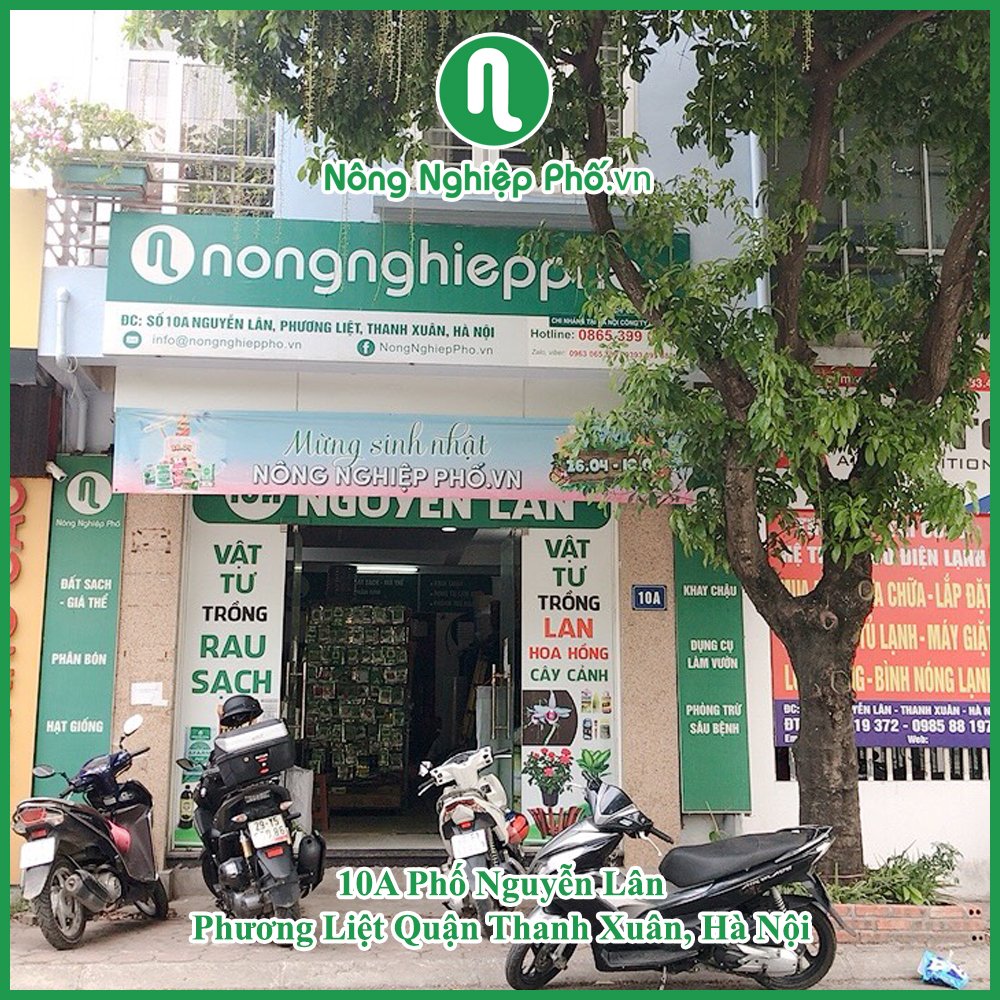 Nông Nghiệp Phố ảnh 3