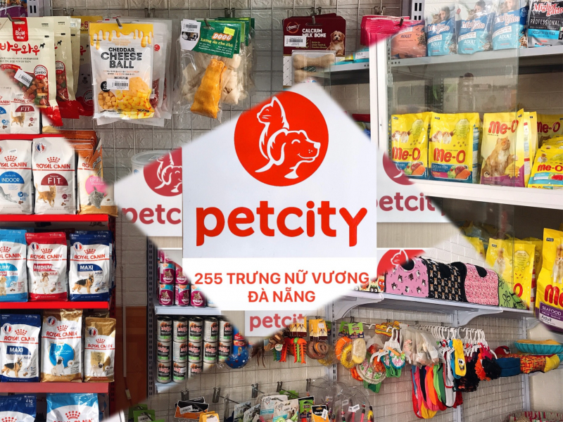 PetCity ảnh 1