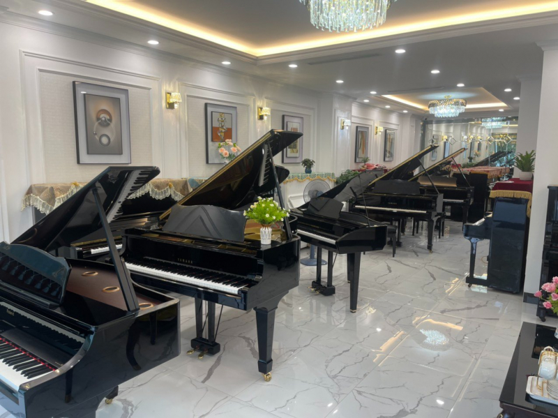 Piano Hà Nội ảnh 3