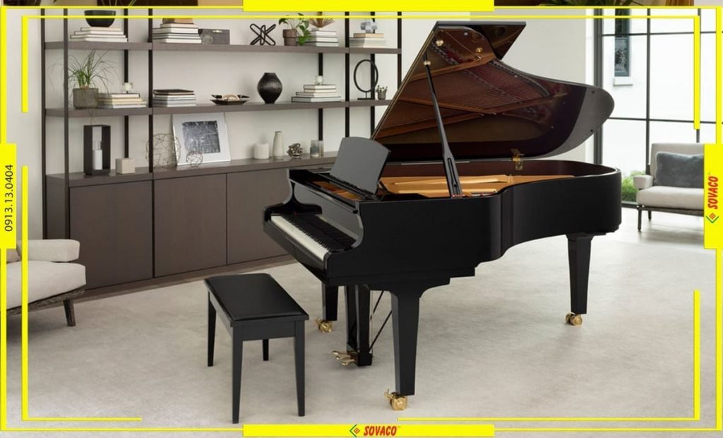 Sovaco Piano ảnh 1