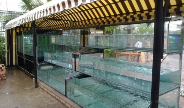 Thái Hoà Aquarium ảnh 1