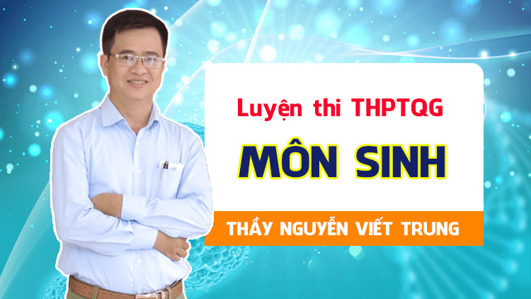 Thầy Nguyễn Viết Trung ảnh 2