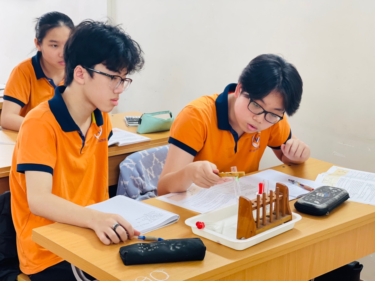 Trường Tiểu học và THCS Việt Anh ảnh 2
