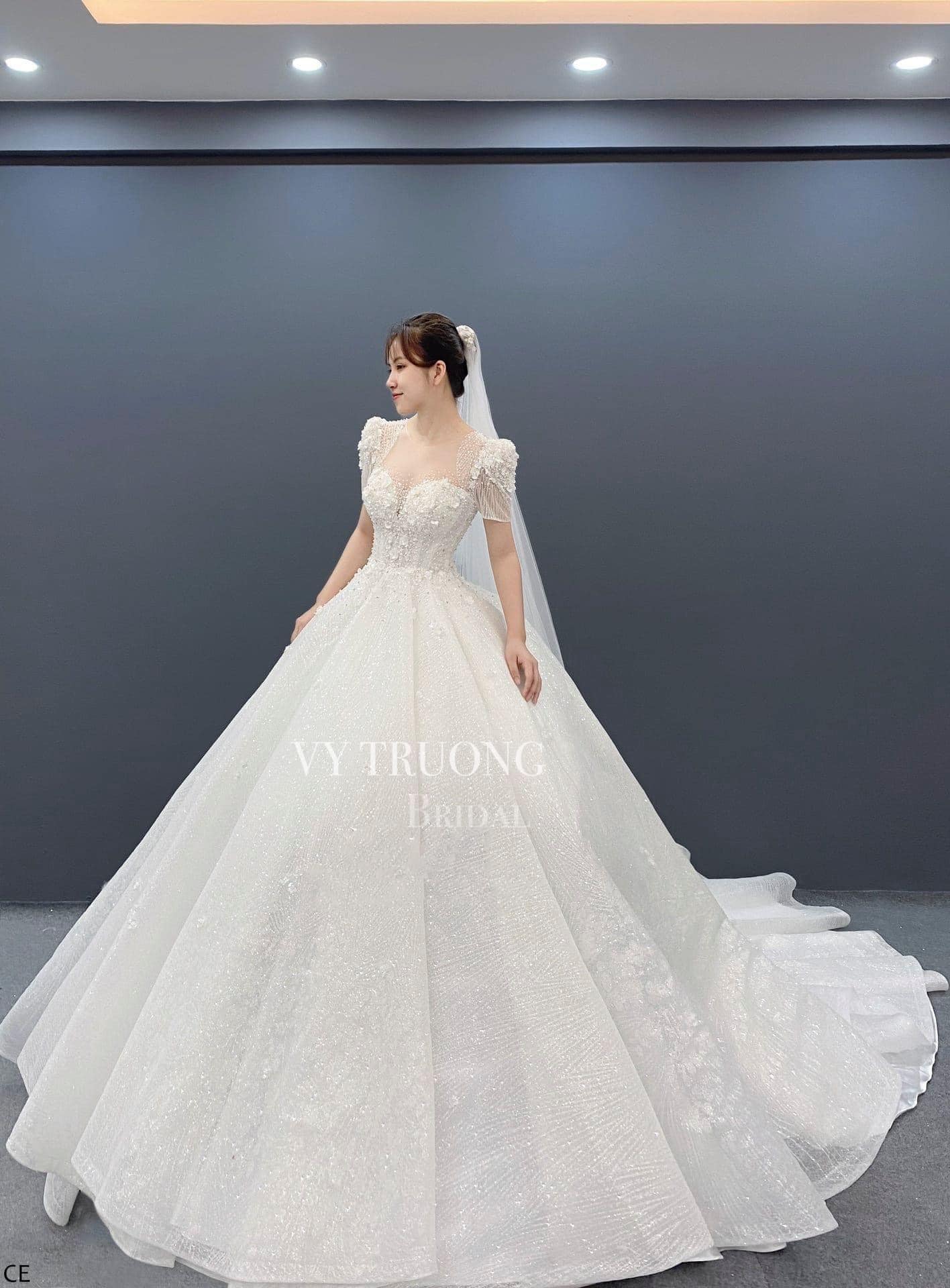 Vy Truong Bridal ảnh 3