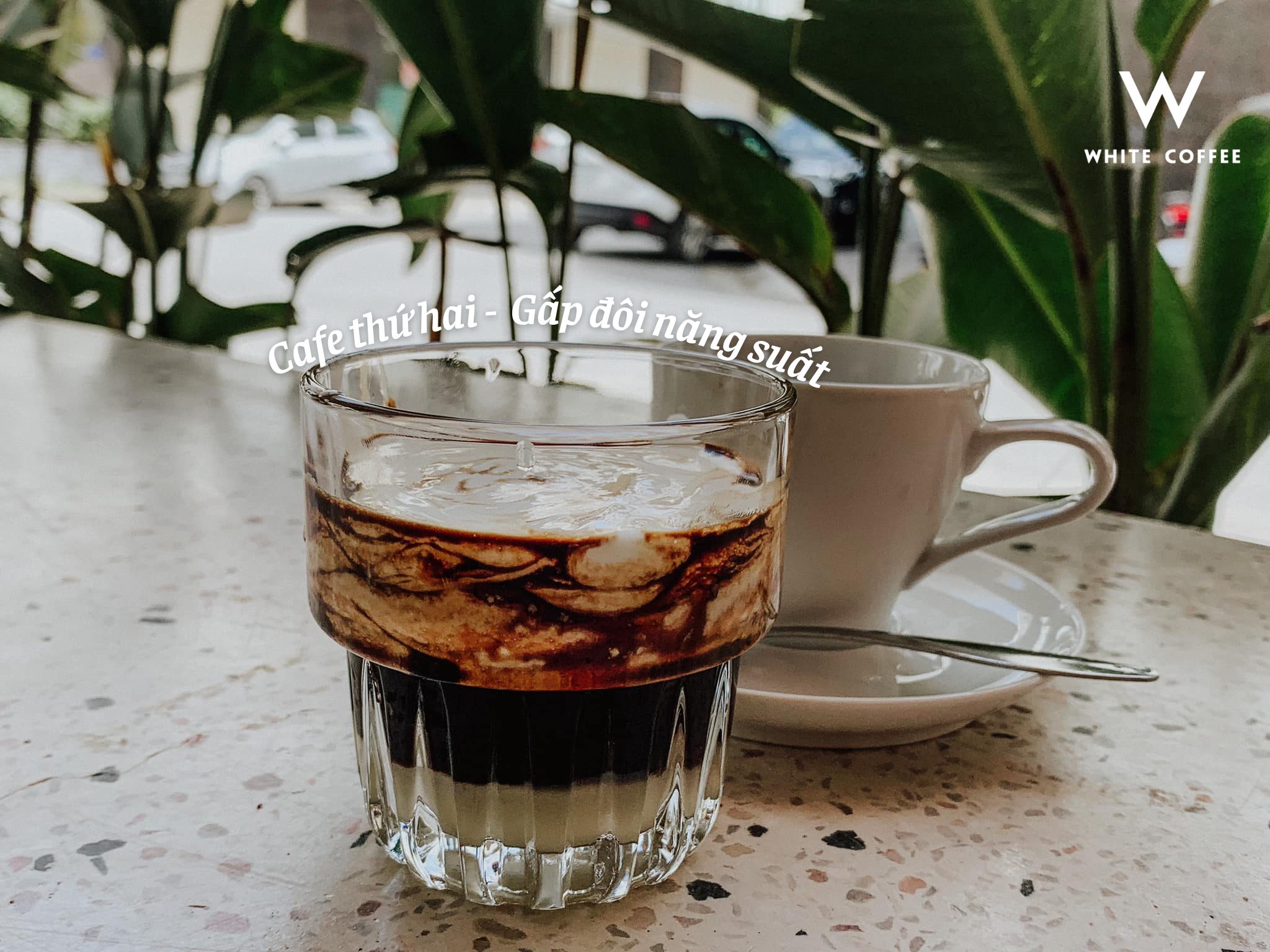 White Coffee ảnh 3