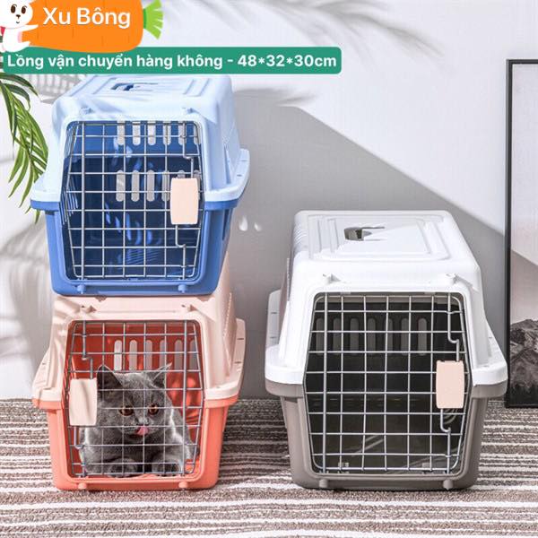 XU BÔNG Pet Shop ảnh 1