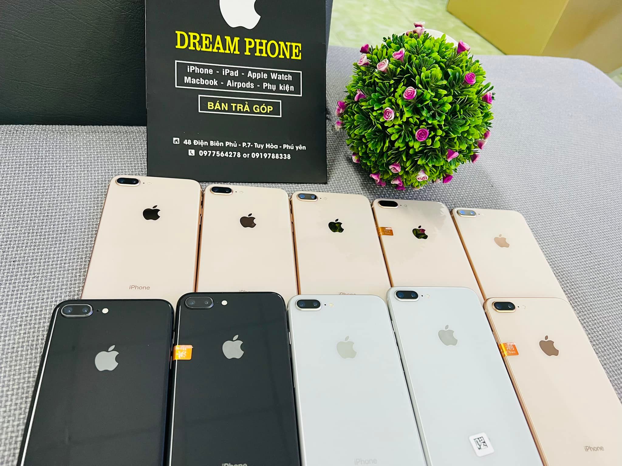 Dreamphone ảnh 2