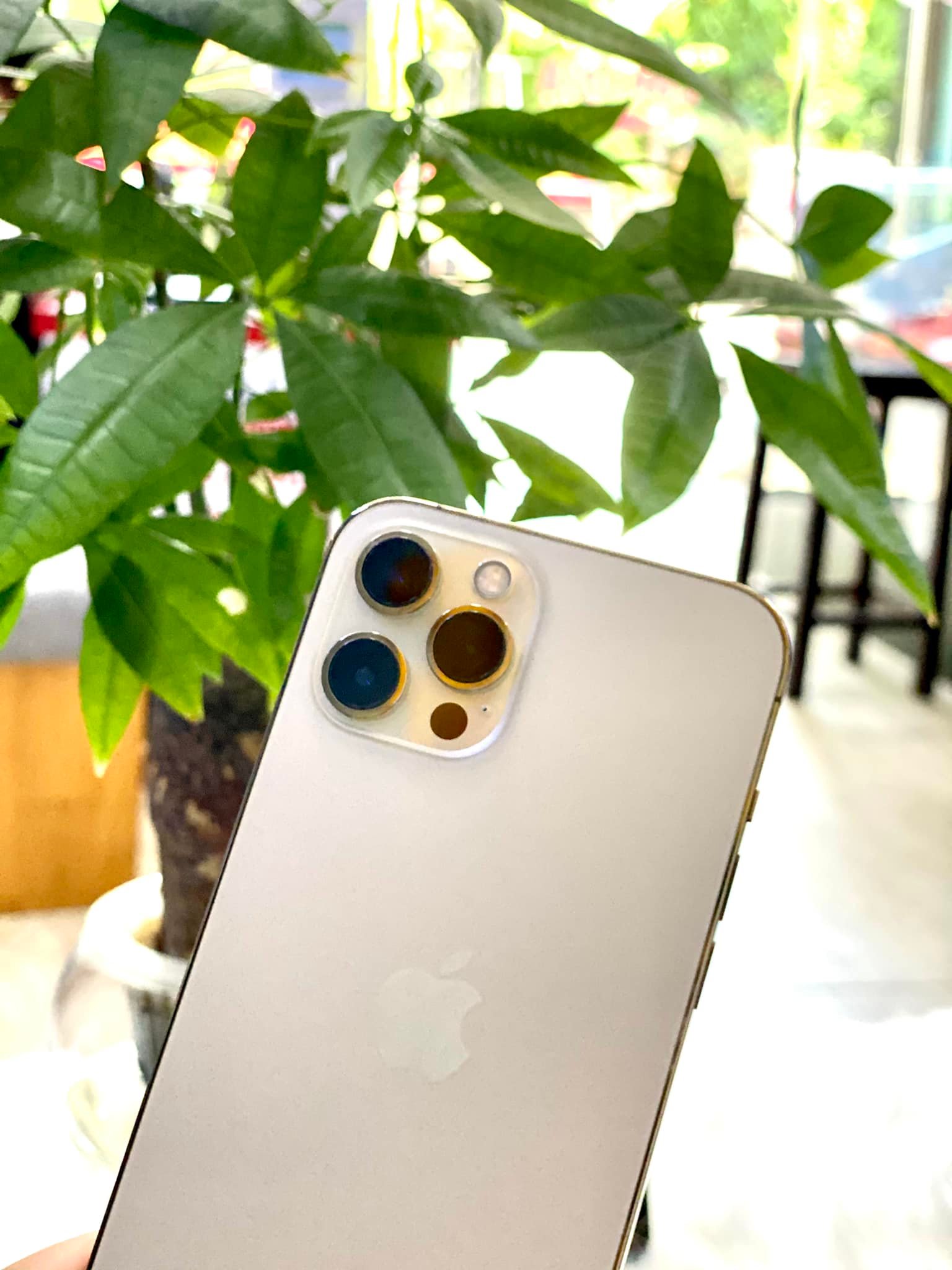 Hoàng Phát Apple ảnh 2