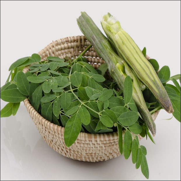 Nông sản Dũng Hà ảnh 2