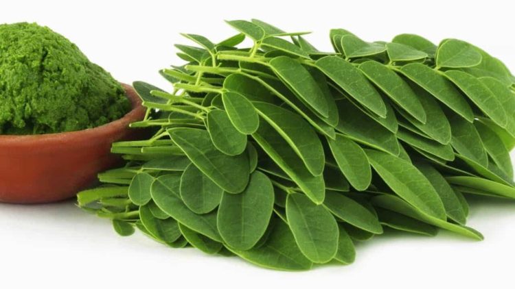 Thảo Dược Tấn Phát ảnh 2