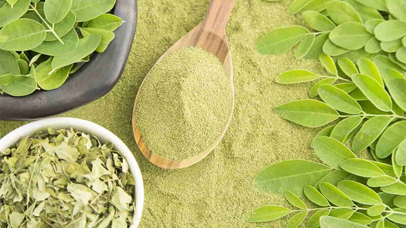 Thảo dược An Quốc Thái ảnh 1