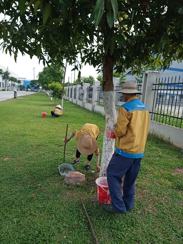 Công ty Cổ phần Suluck ảnh 1