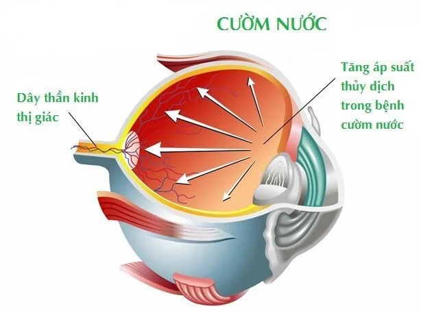 Bệnh viện Mắt Sài Gòn Hà Nội ảnh 1