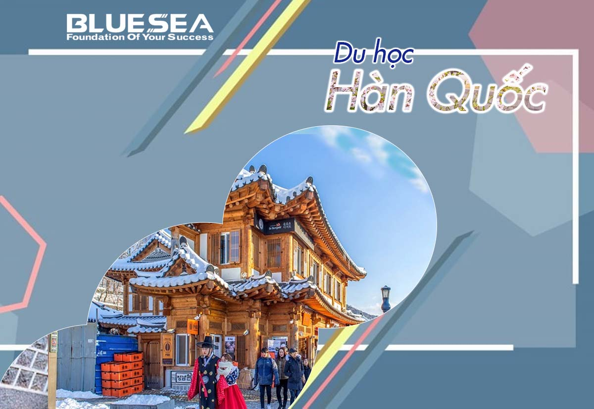 Công ty Tư vấn Du học BlueSea ảnh 1