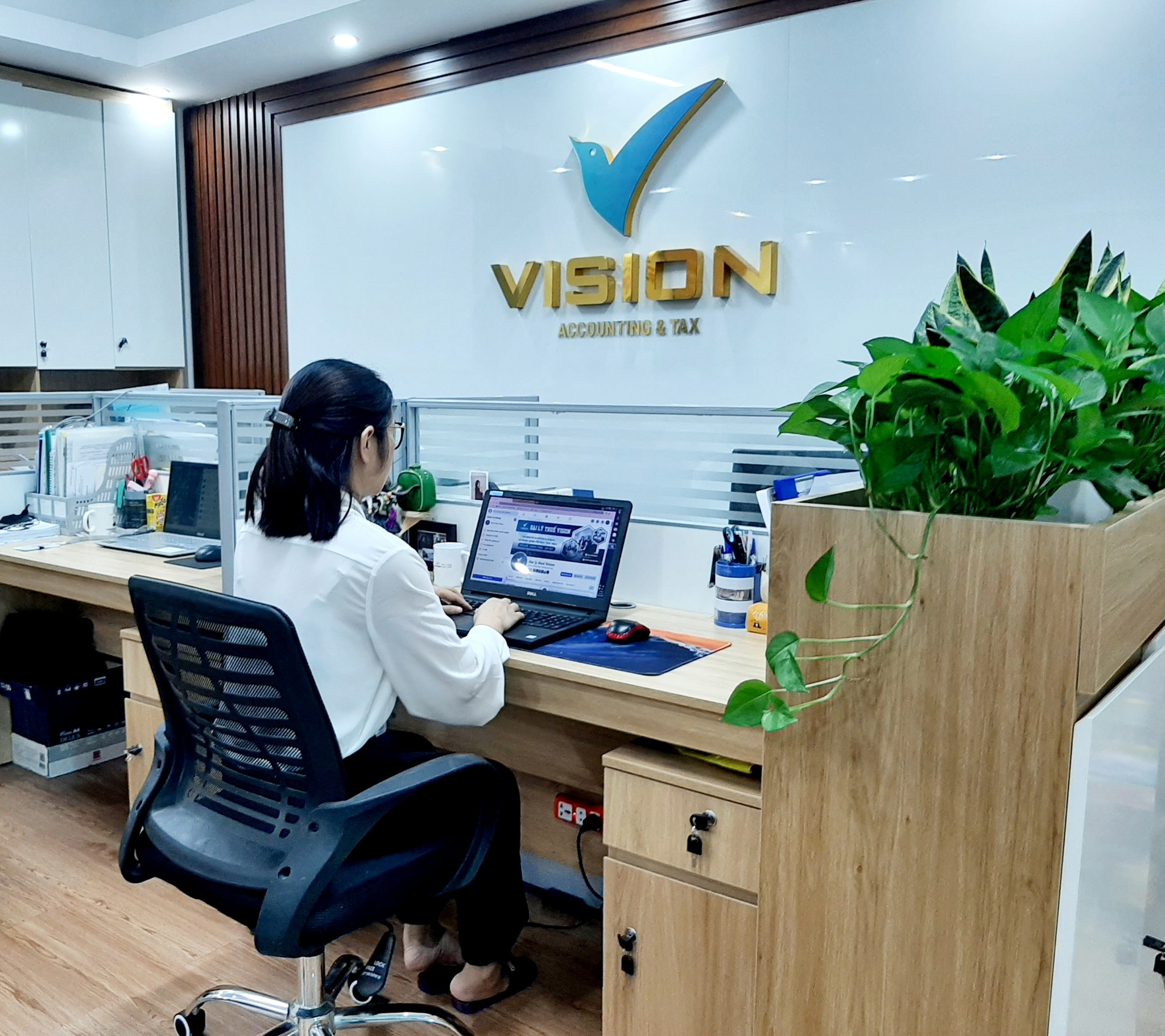 Đại lý thuế Vision ảnh 1