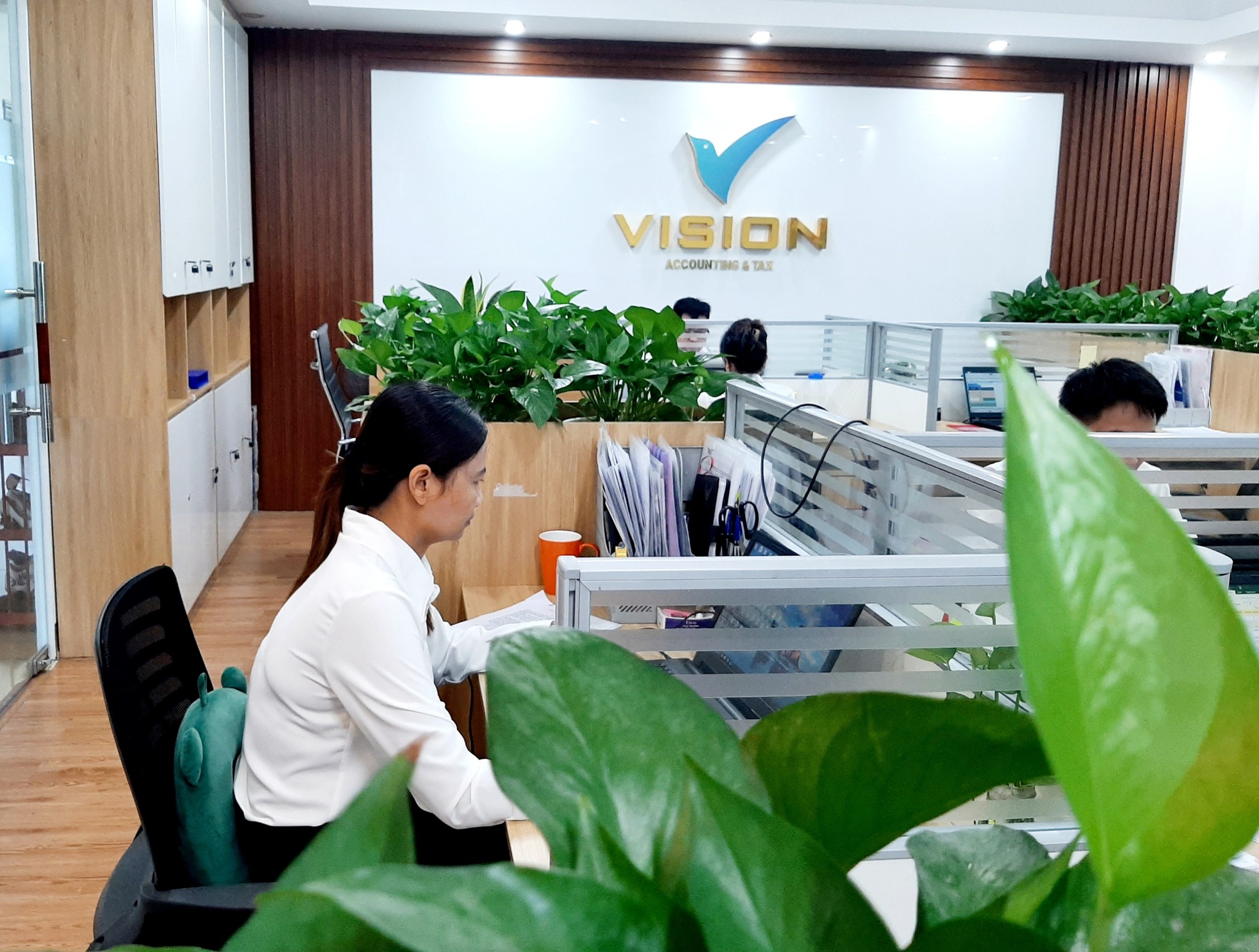 Đại lý thuế Vision ảnh 2