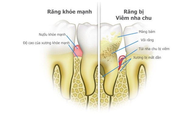 Nha khoa Đông Nam ảnh 1