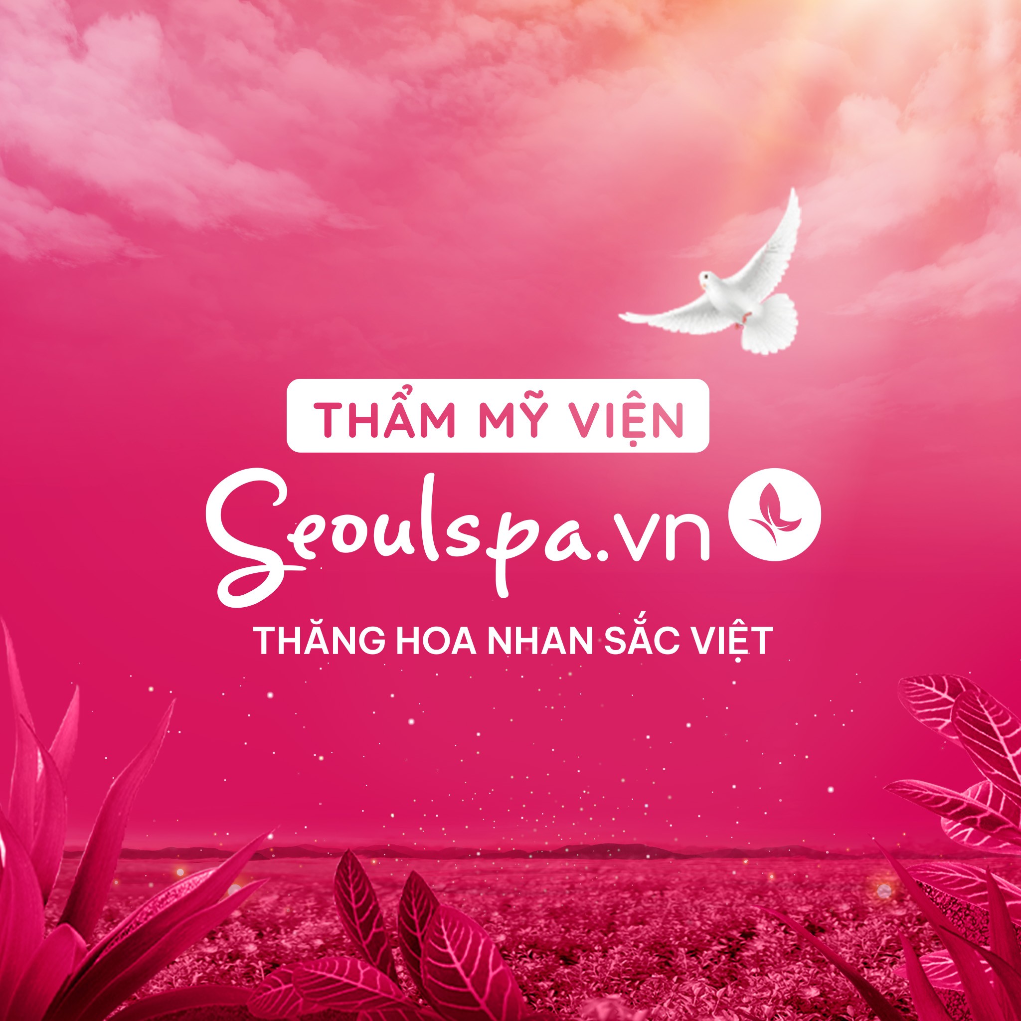 Thẩm mỹ viện SeoulSpa.Vn ảnh 2