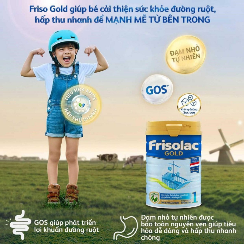 Sữa bột Frisolac Gold ảnh 2