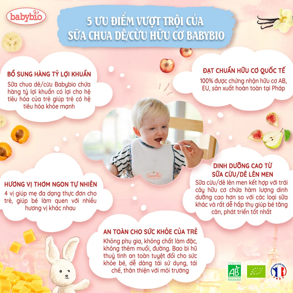 Sữa chua cừu hữu cơ Babybio ảnh 1