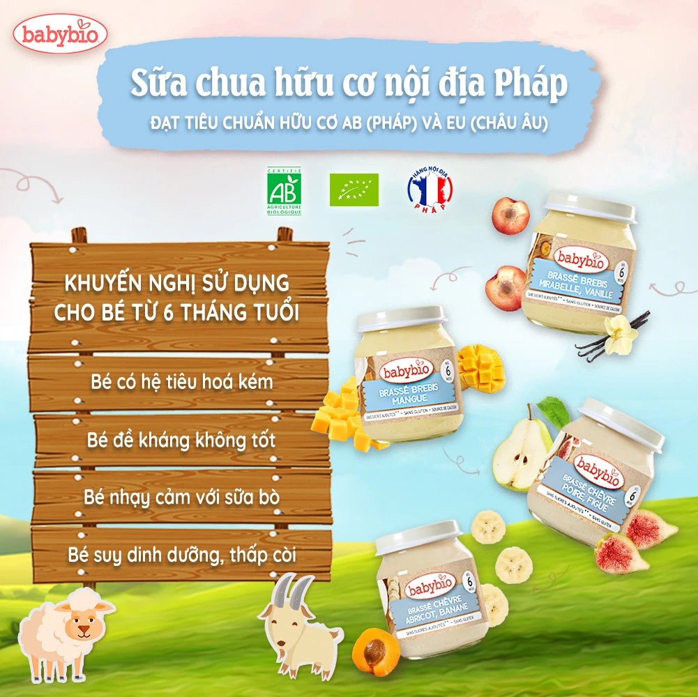 Sữa chua cừu hữu cơ Babybio ảnh 2