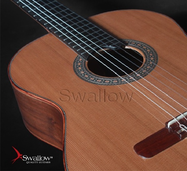 Swallow Guitars ảnh 2