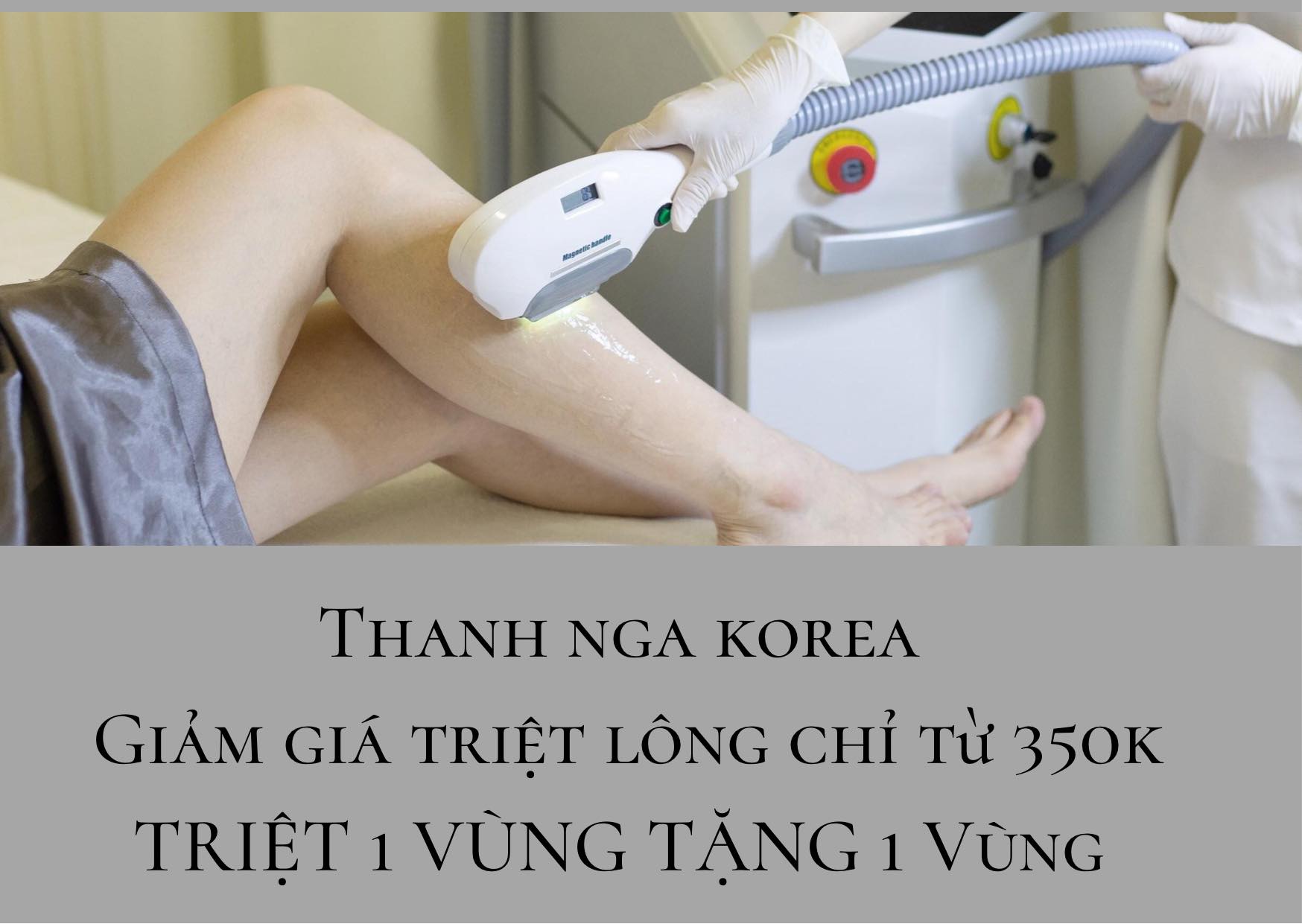 Thanh Nga Korea ảnh 2