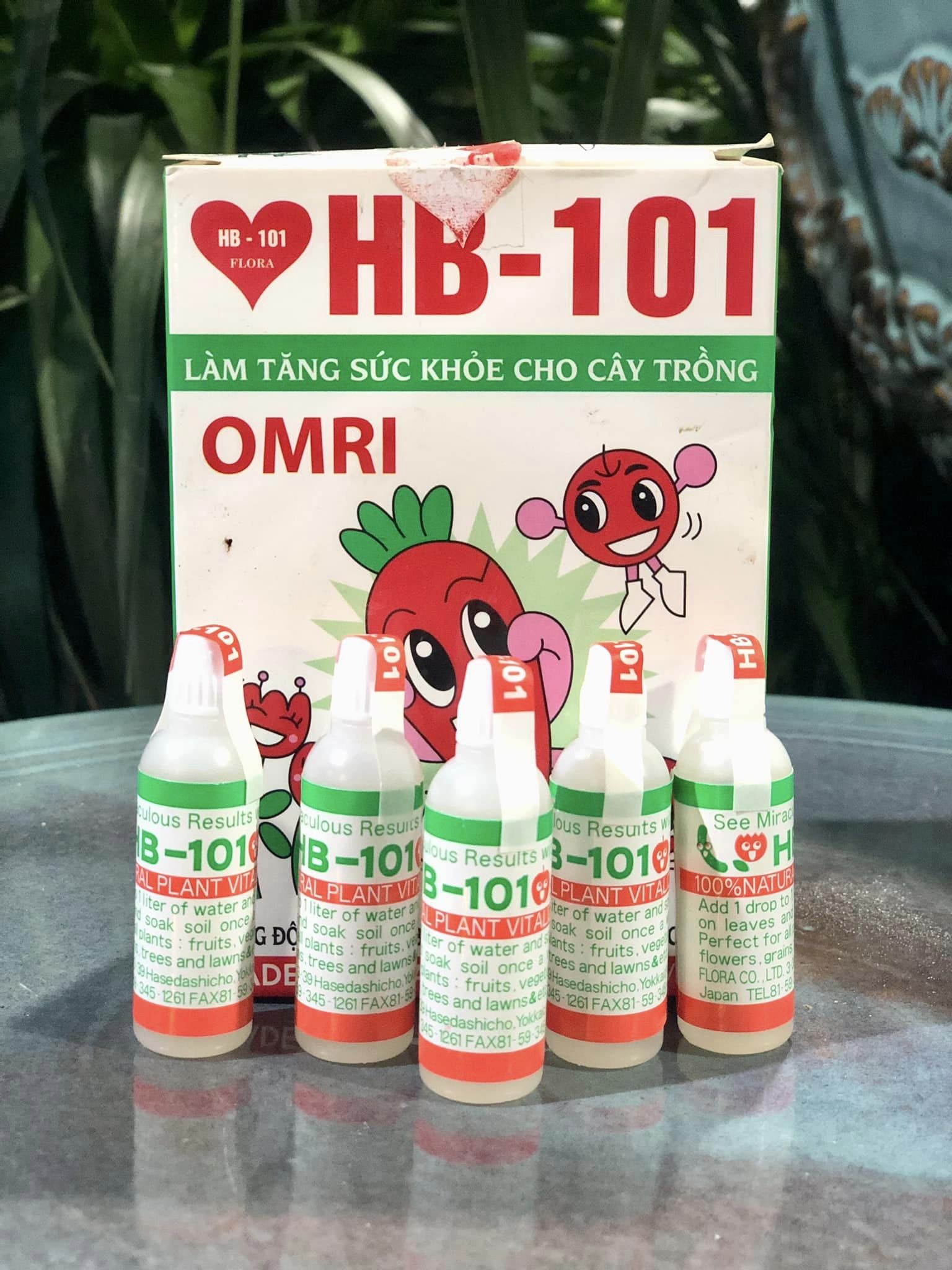 Thế giới cây & hoa Từ Sơn ảnh 2