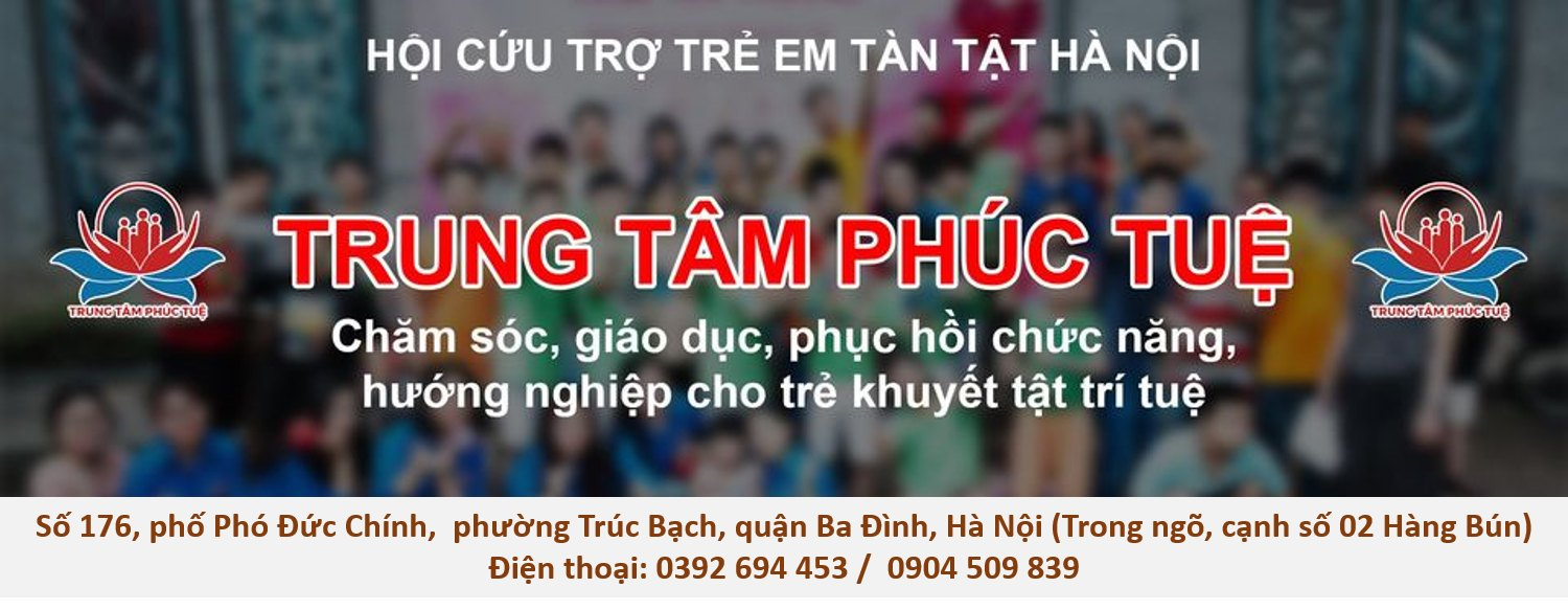 Trung tâm chăm sóc, dạy trẻ tự kỷ Phúc Tuệ ảnh 1