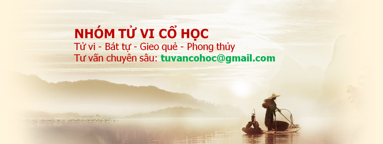 Tử Vi Cổ Học ảnh 1