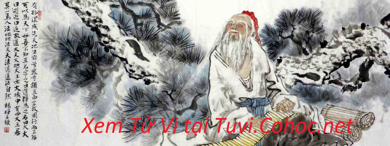Tử Vi Cổ Học ảnh 2