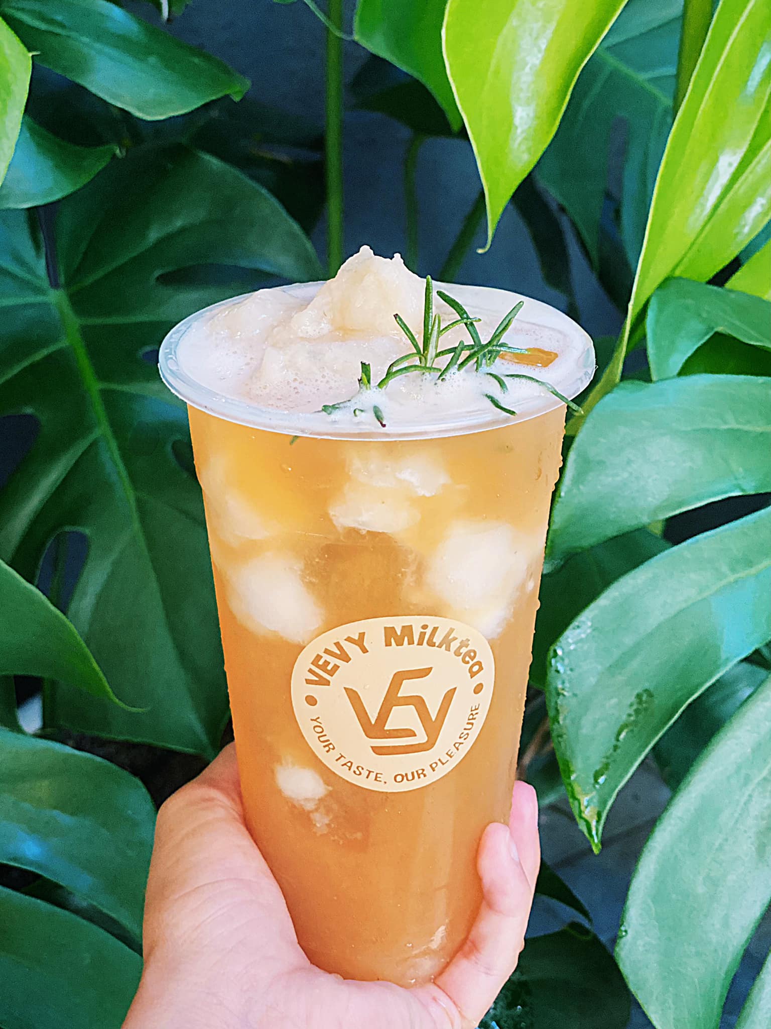 VEVY Milktea ảnh 1