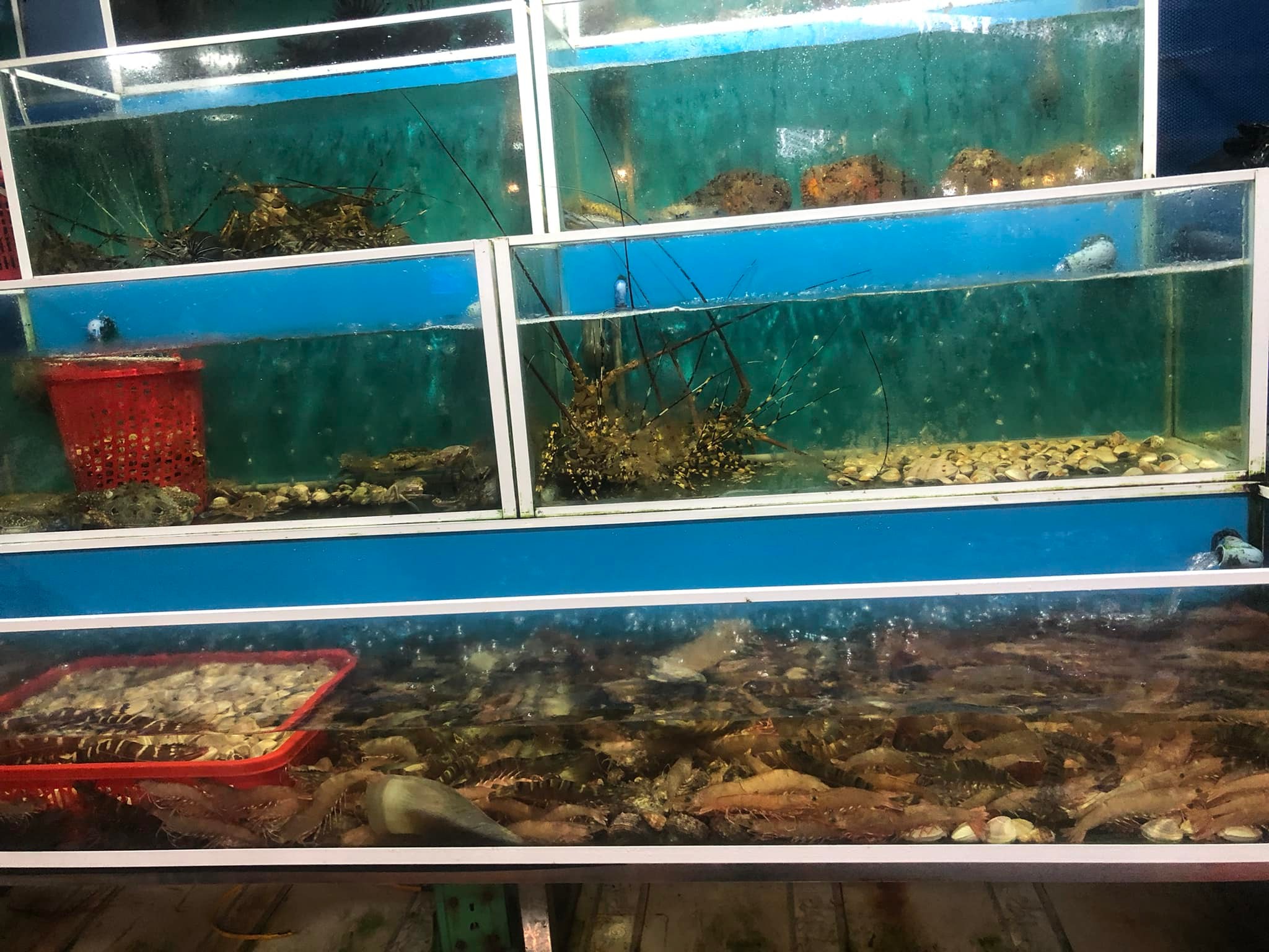 Nhà hàng Cánh Buồm Trắng ảnh 3