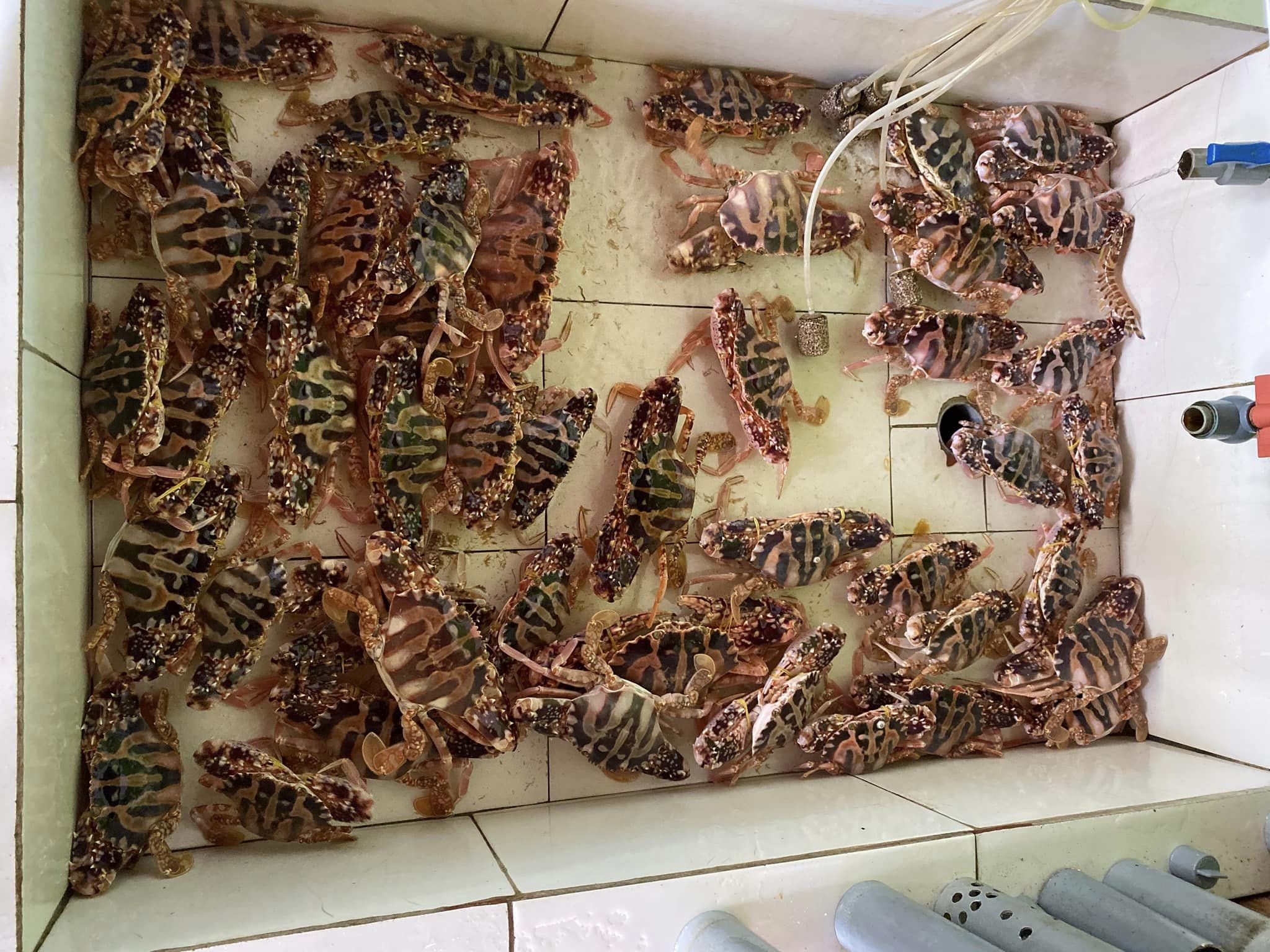 Vân Phi Restaurant ảnh 3