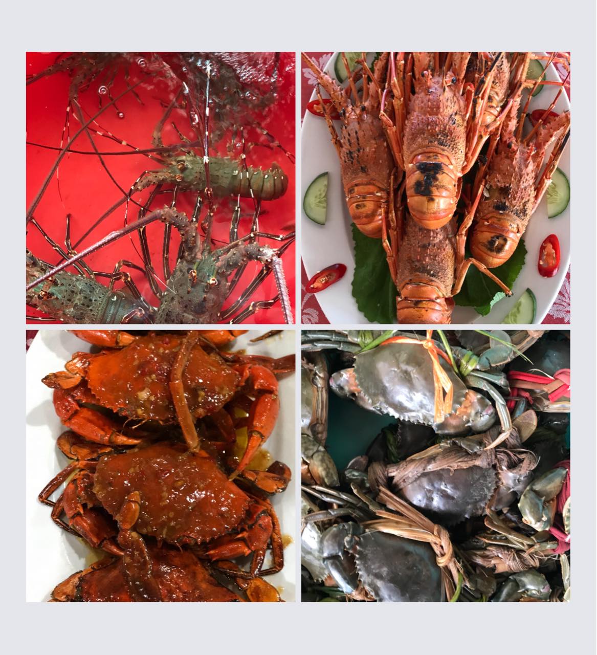 SEN Restaurant Beach Hội An ảnh 3