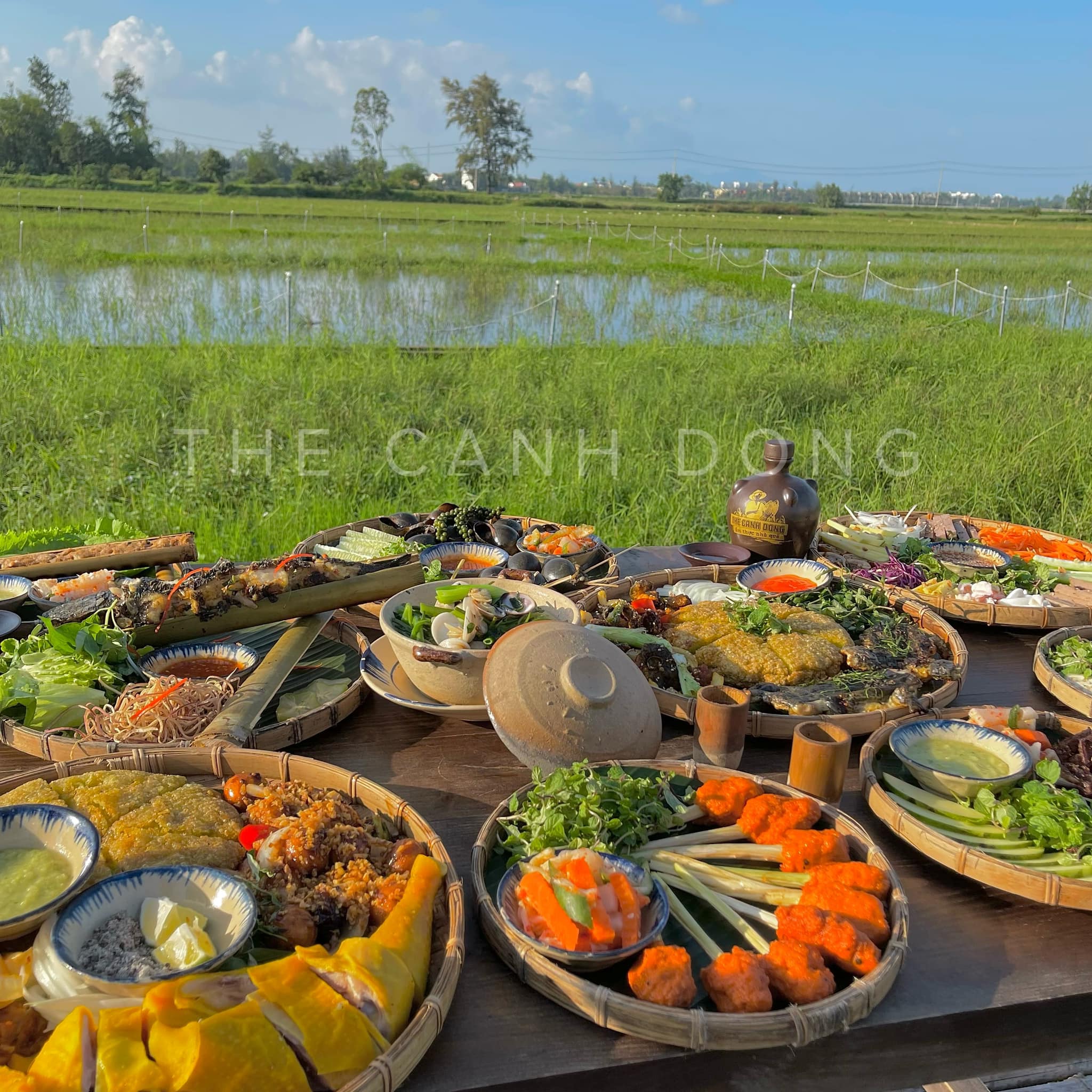The Canh Dong ảnh 1