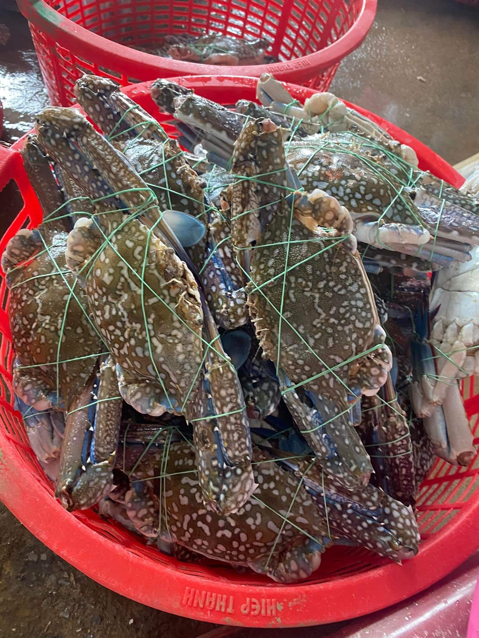 vựa hải sản Hoa Hồng Tây Ninh ảnh 3