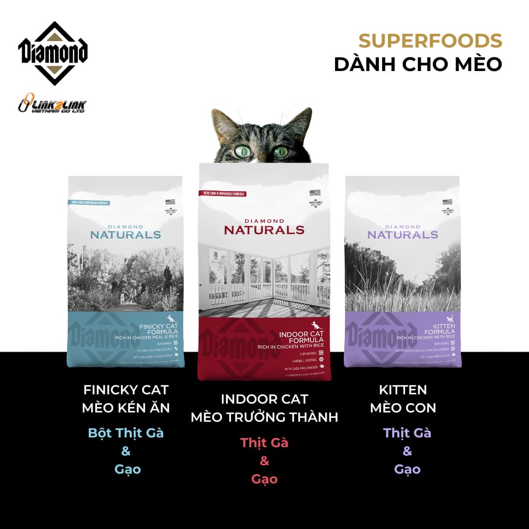 Cámmmm pet shop Phan Thiết ảnh 1