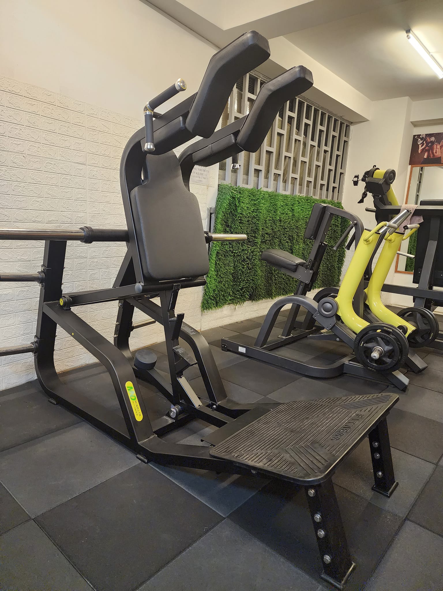 DT Gym & Fitness ảnh 1