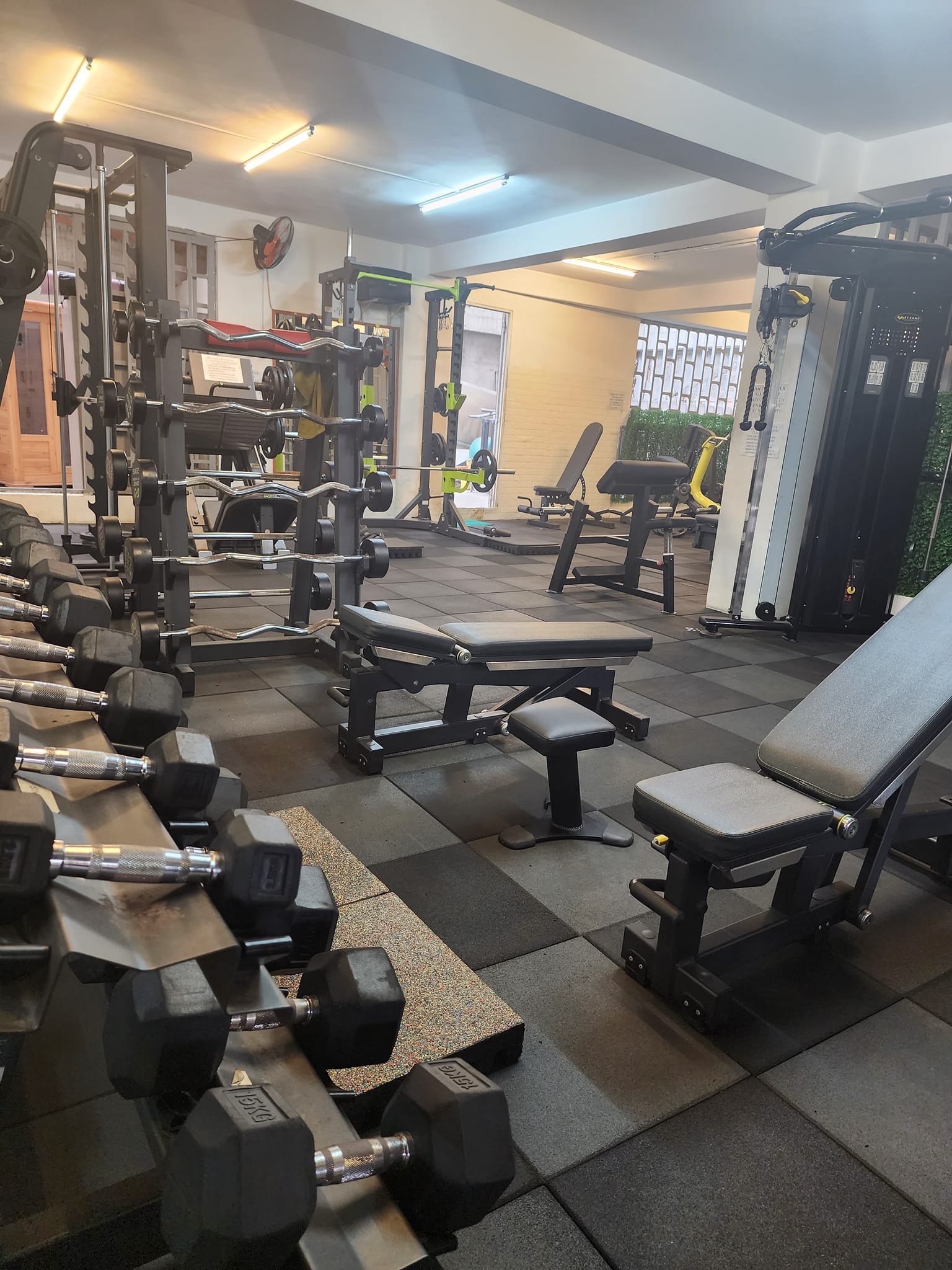 DT Gym & Fitness ảnh 2