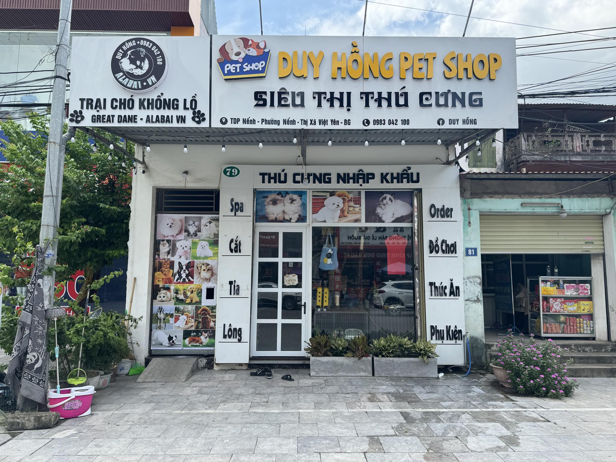 Duy Hồng Pet Shop ảnh 1