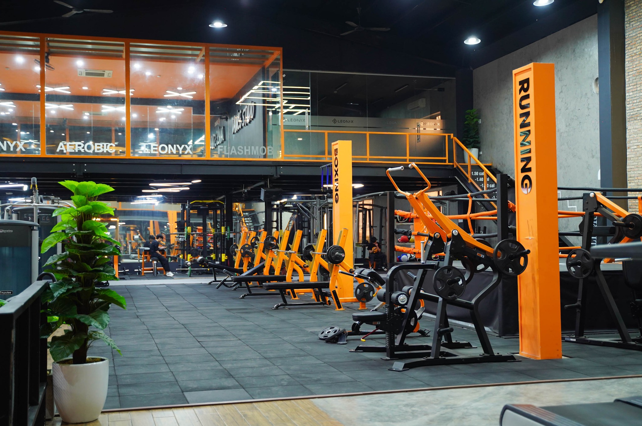 Leonyx Fitness ảnh 1