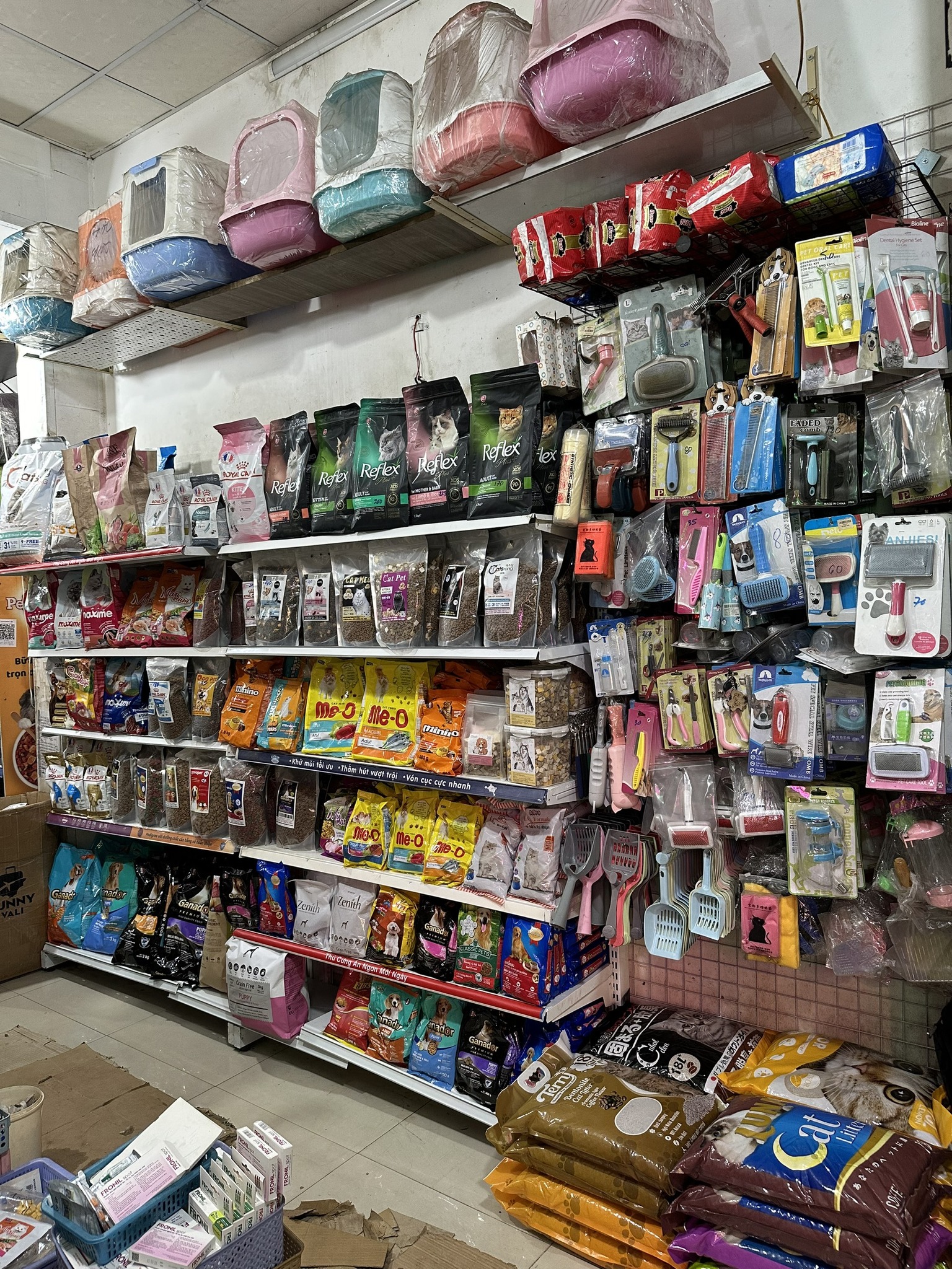 Net Pet Shop Gia Lai ảnh 2