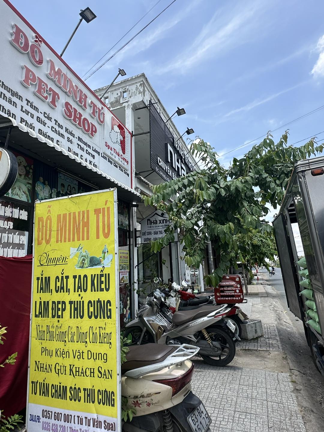 Pet Shop Đỗ Minh Tú ảnh 2