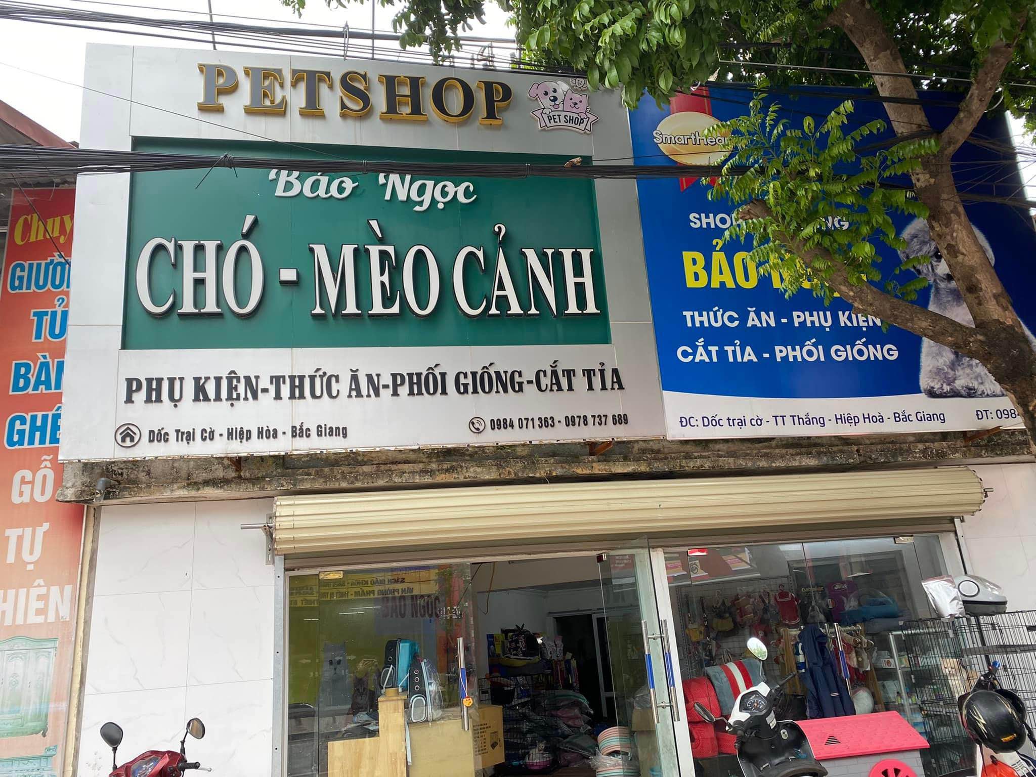 Pet shop BẢO NGỌC ảnh 1