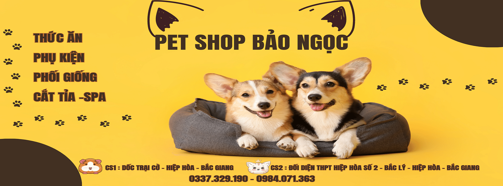 Pet shop BẢO NGỌC ảnh 2