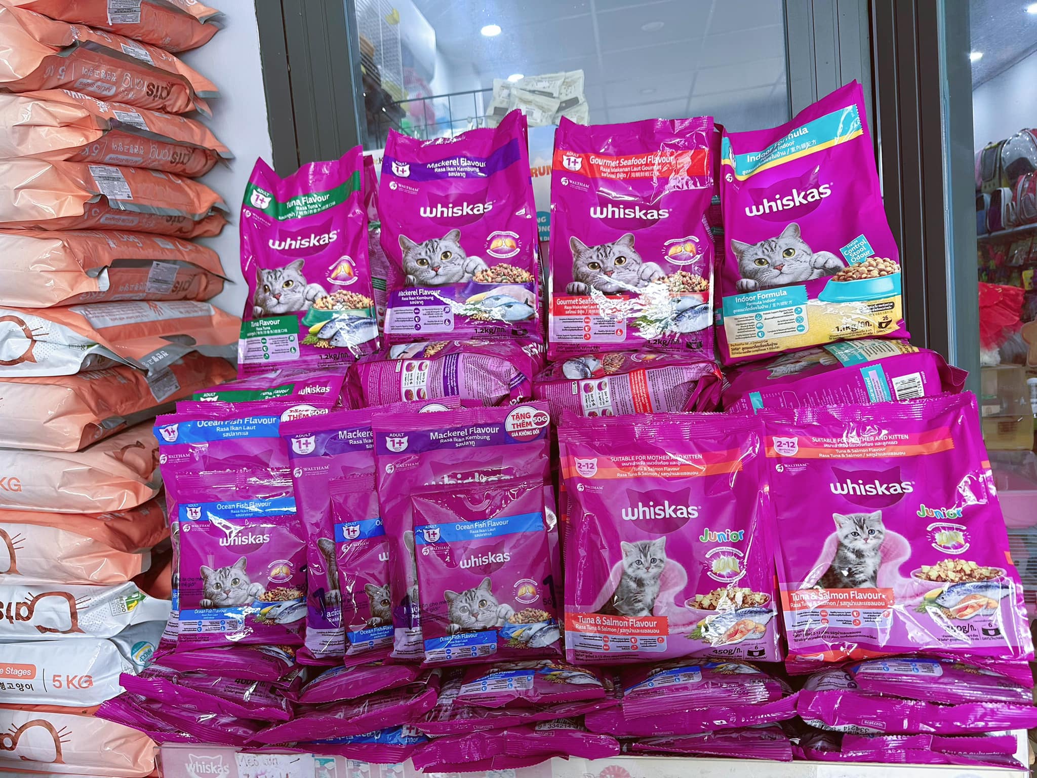 Xì Tin Pet Shop Mỹ Tho ảnh 2