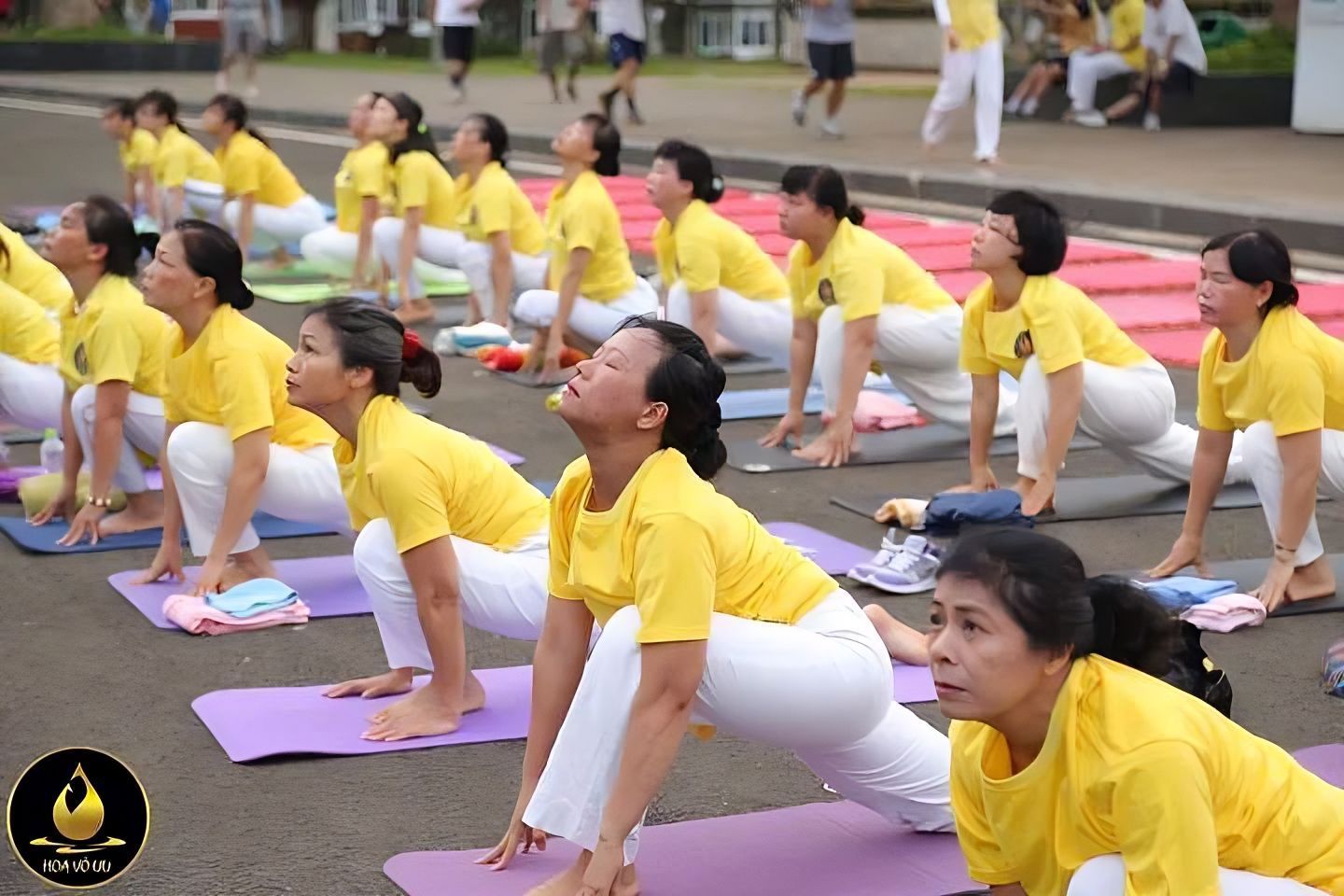 Yoga Hoa Vô Ưu Gia Lai ảnh 1