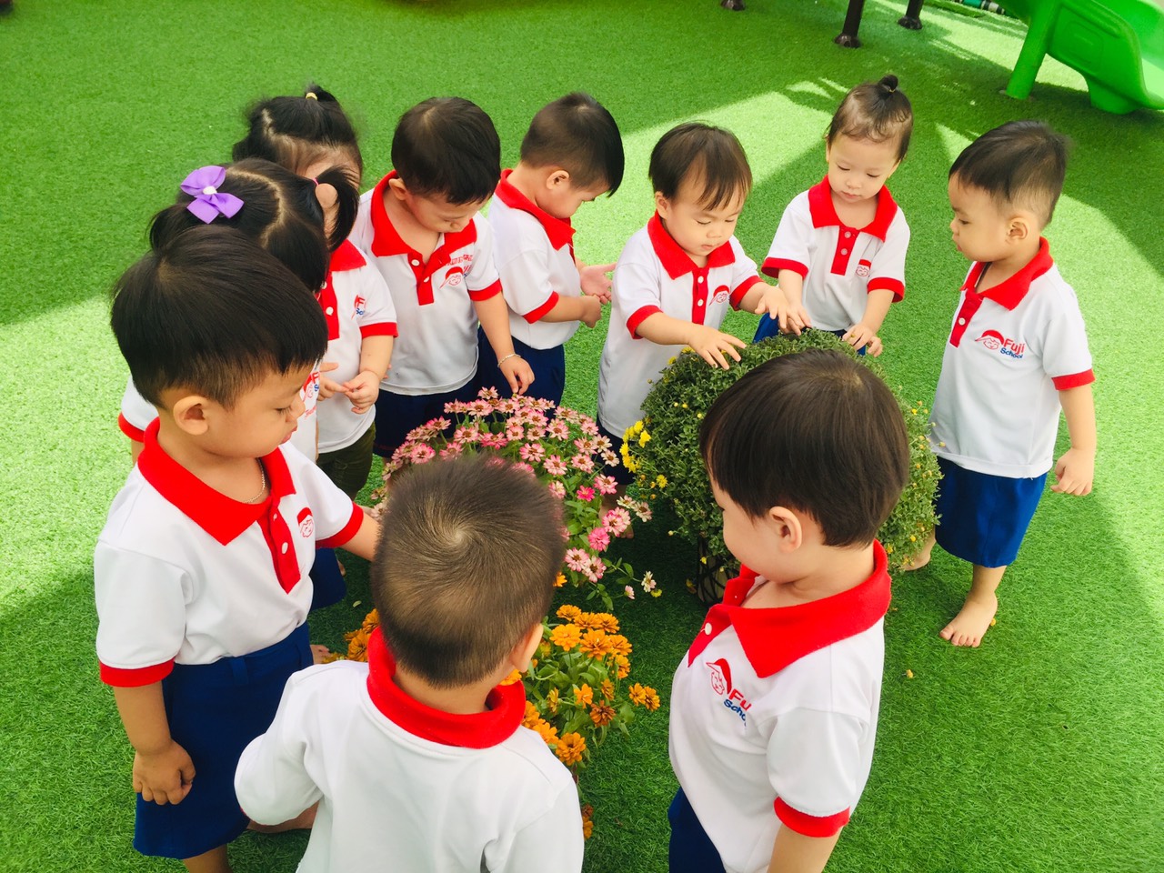 Hệ thống trường mầm non Fuji School ảnh 2